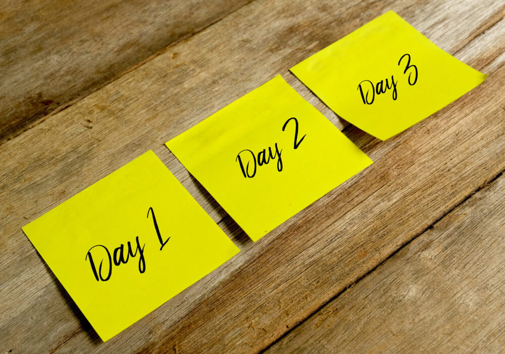 14 day timeline